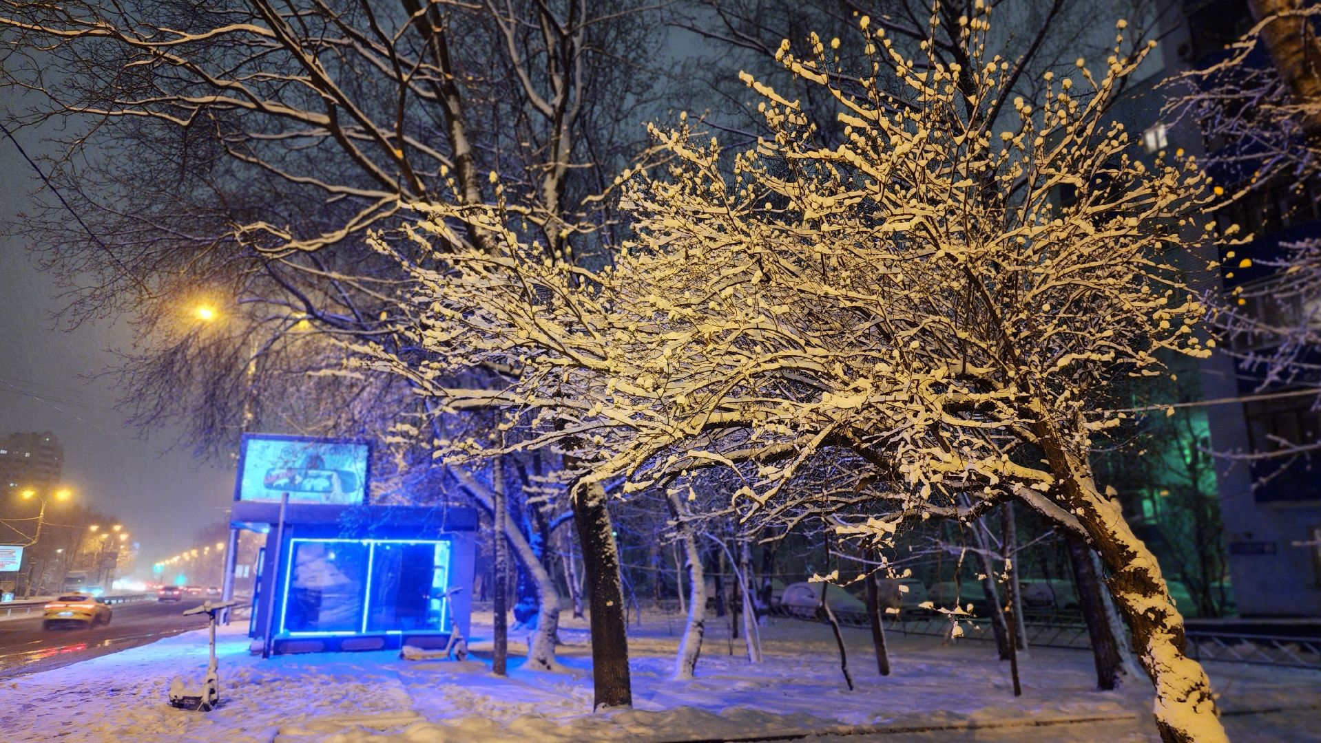 люберцы, сход снега, мокрый снег, автомобили,