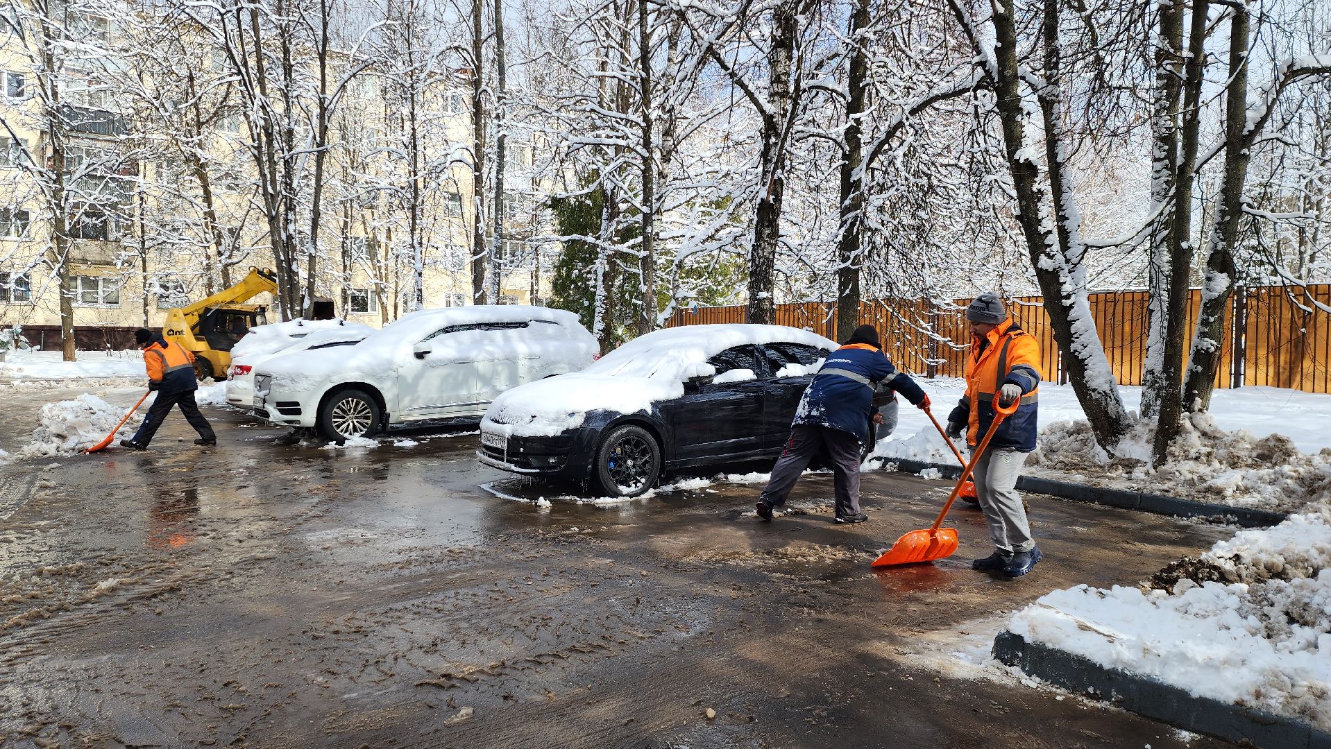 истра, очистка снега, благоустройство,