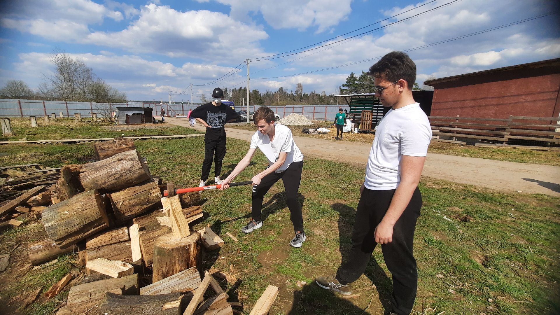 Приют для животных, волонтёры, собаки-инвалиды, Наро-Фоминск