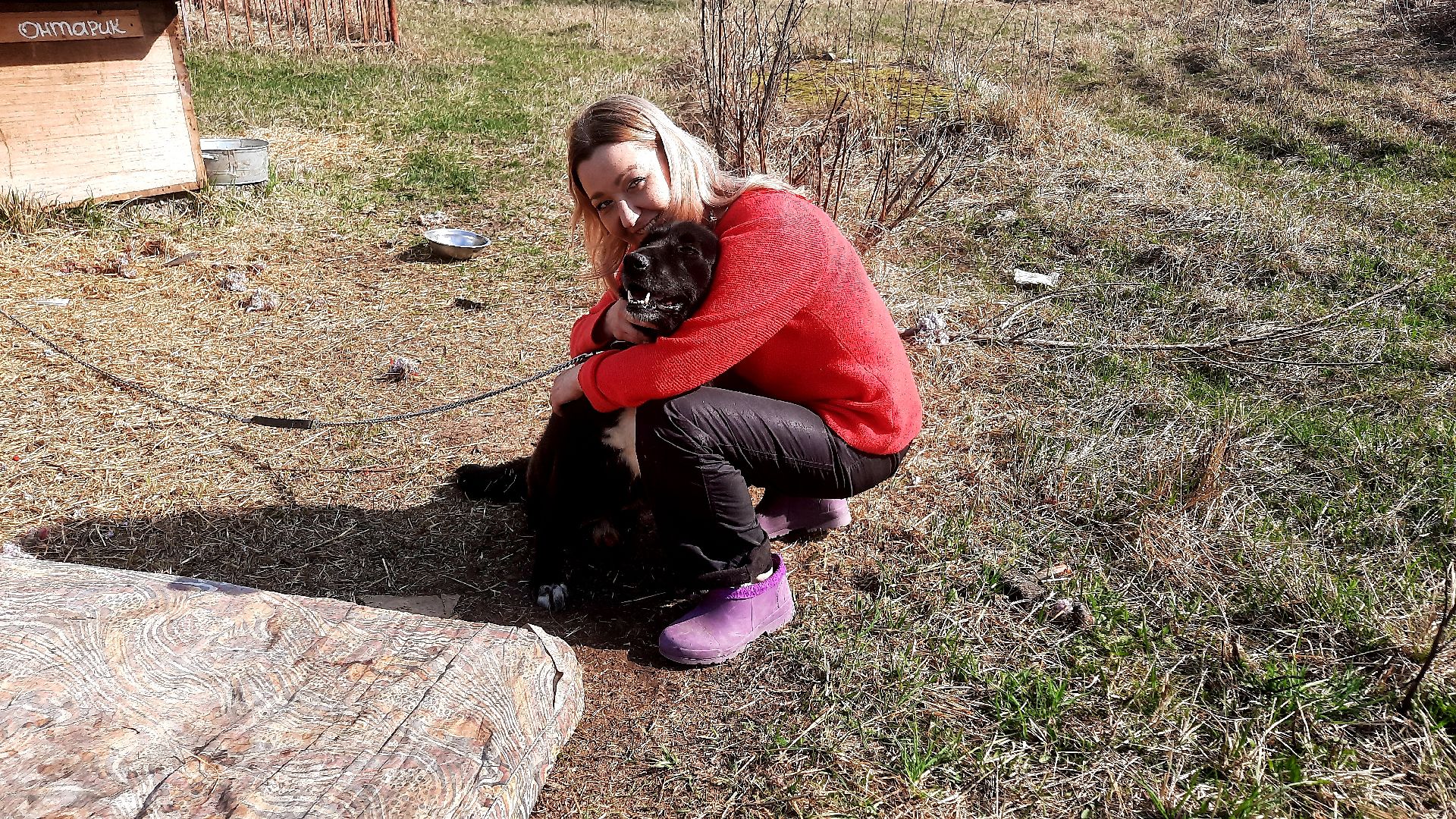 Приют для животных, волонтёры, собаки-инвалиды, Наро-Фоминск
