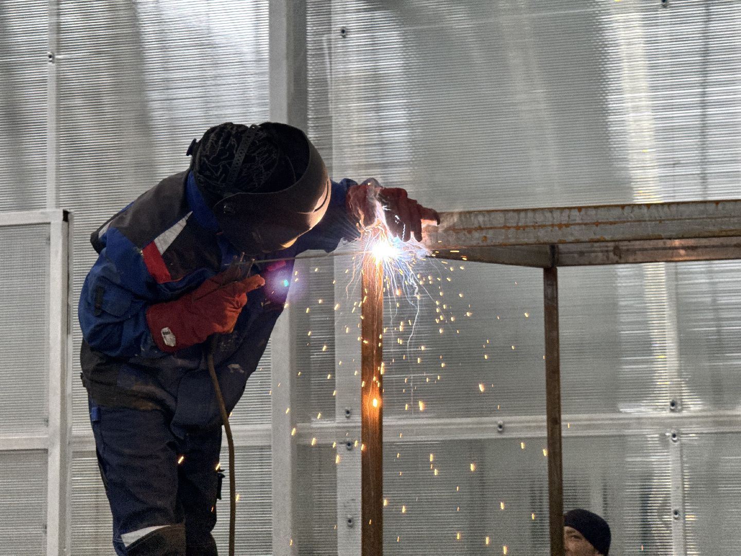 шаховская, завод, производство, новые рабочие места,