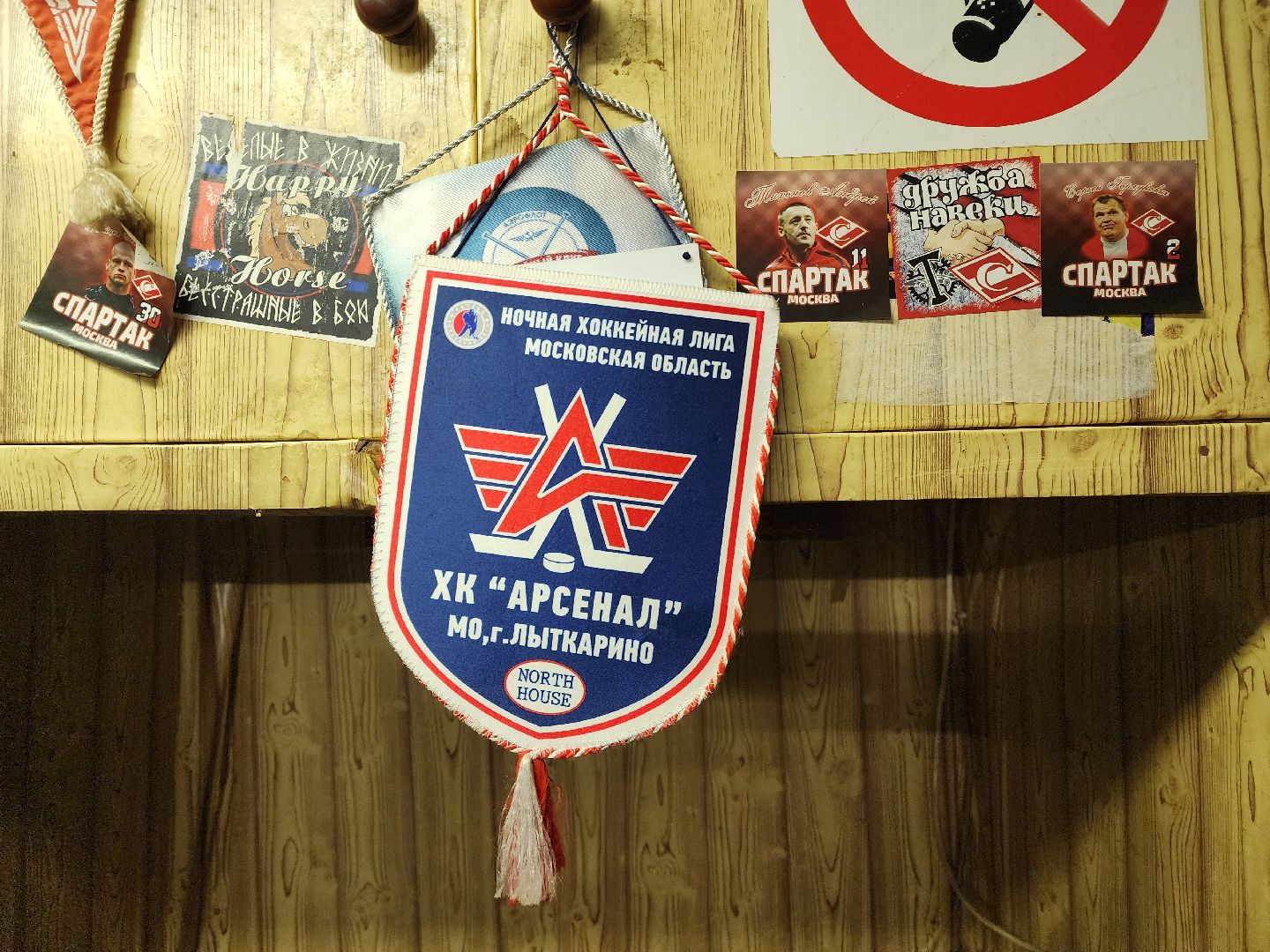 красноармейск, городской округ пушкинский, овечкин, хоккей,