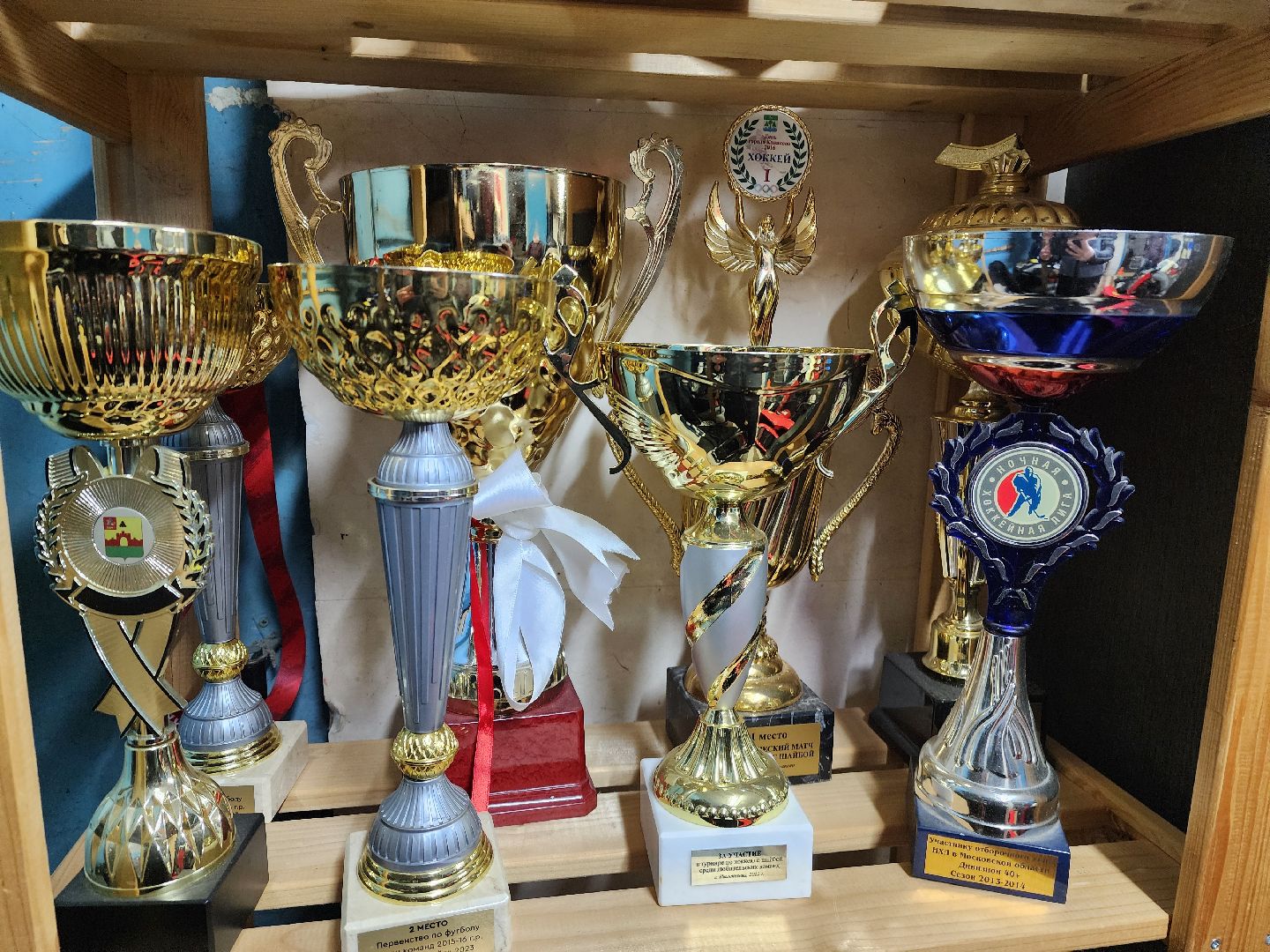 красноармейск, городской округ пушкинский, овечкин, хоккей,