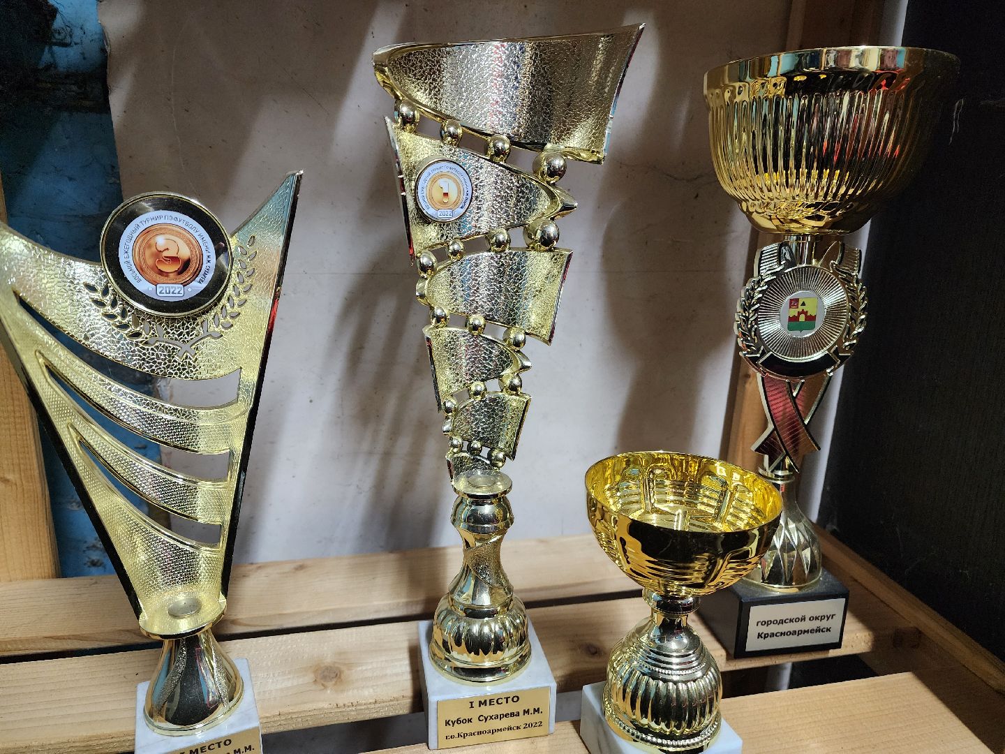 красноармейск, городской округ пушкинский, овечкин, хоккей,