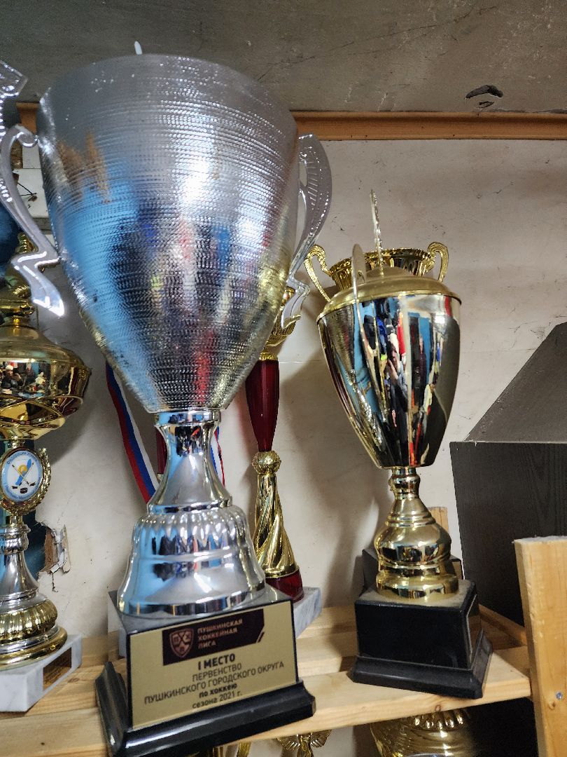 красноармейск, городской округ пушкинский, овечкин, хоккей,