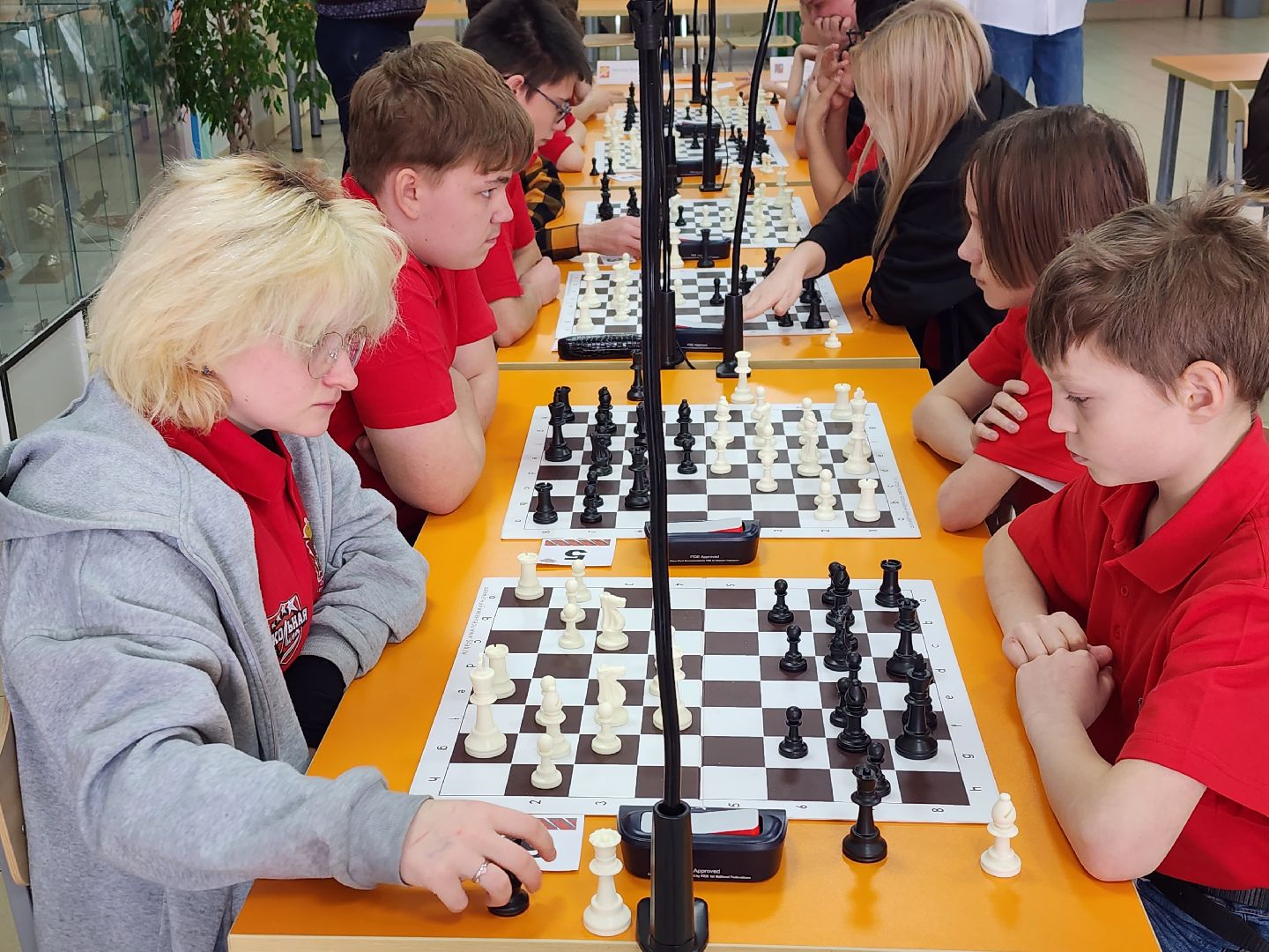 королёв, шахматы в московской области, школьная лига, образование в подмосковье, спорт в подмосковье,