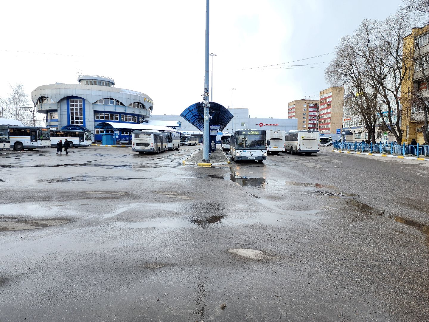 раменское, транспорт, первый дачный автобусный маршрут,