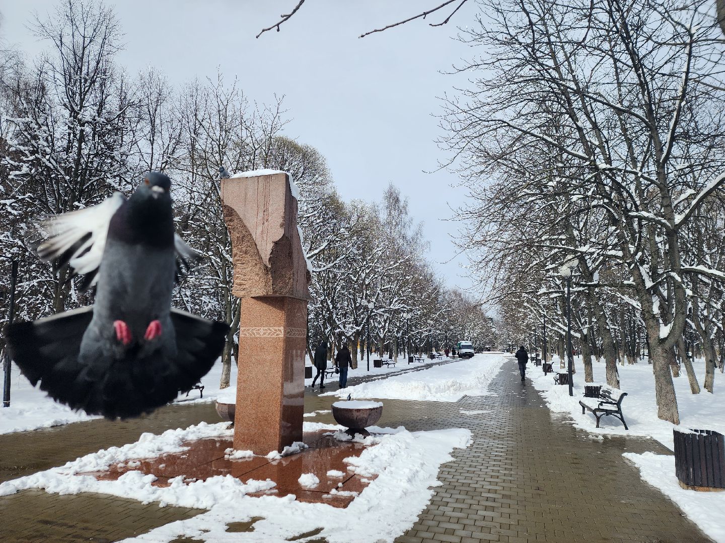 день победы, благоустройство, королёв, вечный огонь,