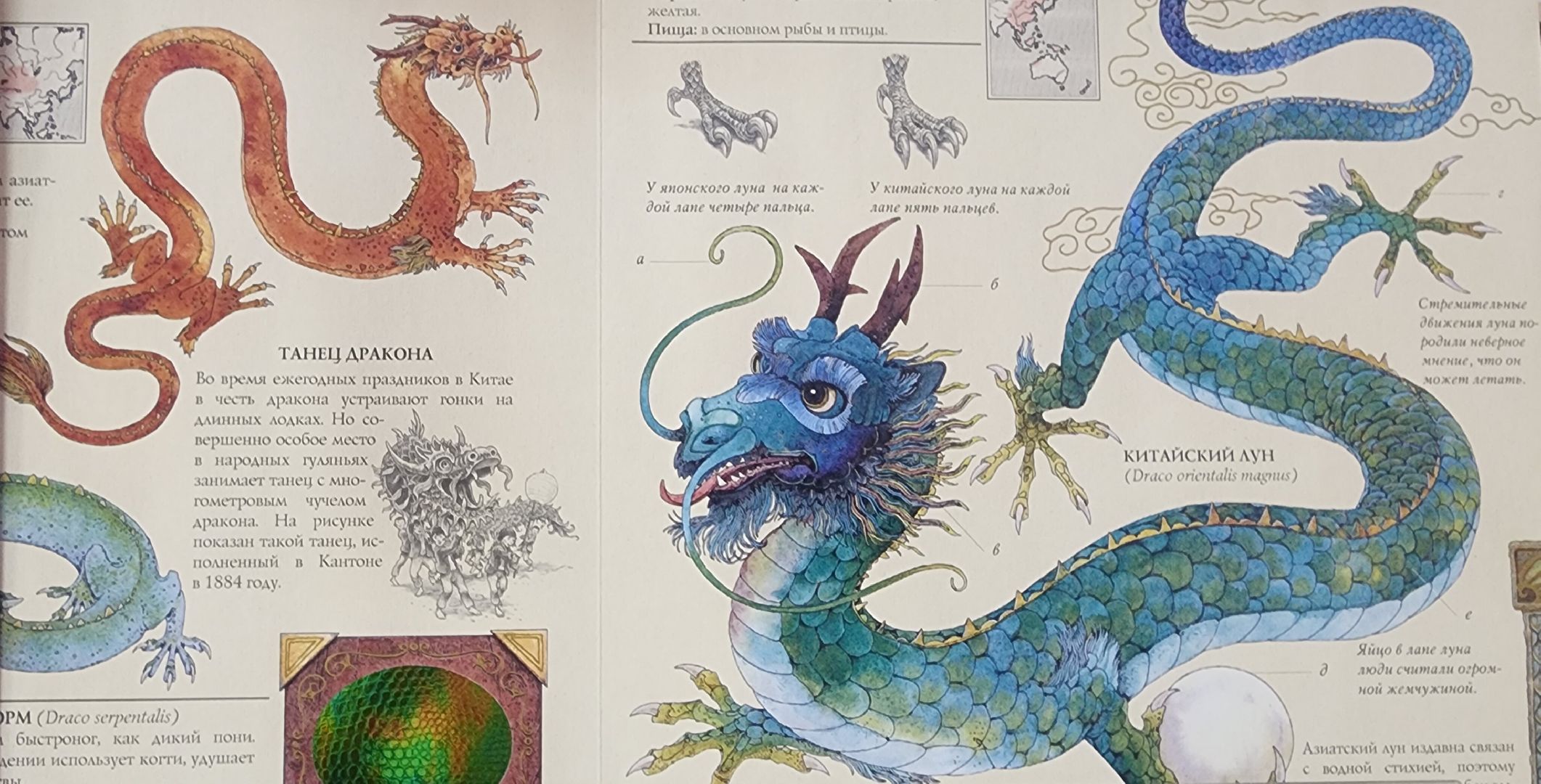 Звенигород, Культура, Читаем книги,