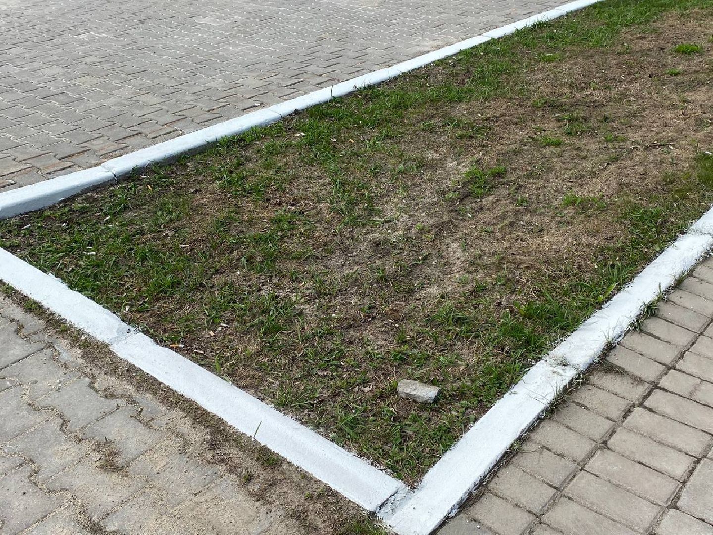 Коломна, парк, памятник