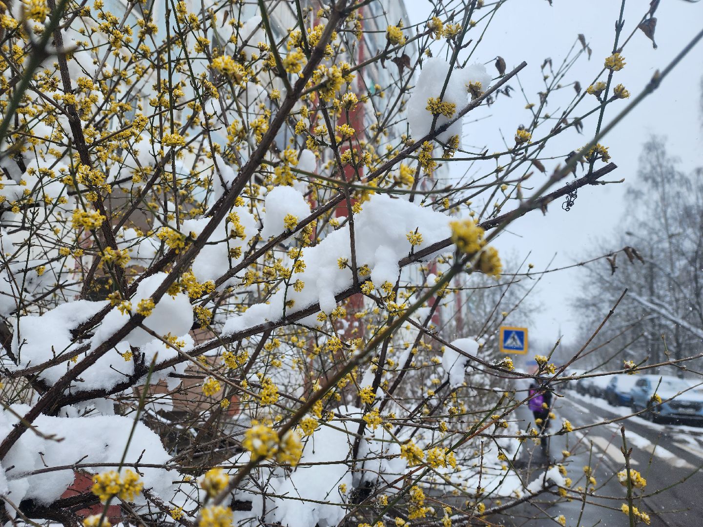 королёв, метель, уборка снега и наледи королев,