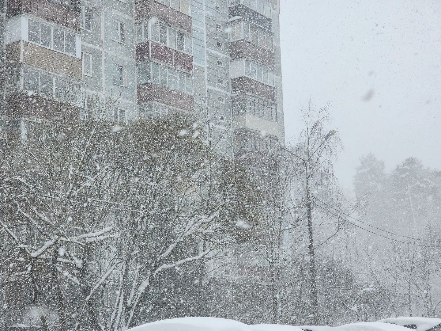 королёв, метель, уборка снега и наледи королев,
