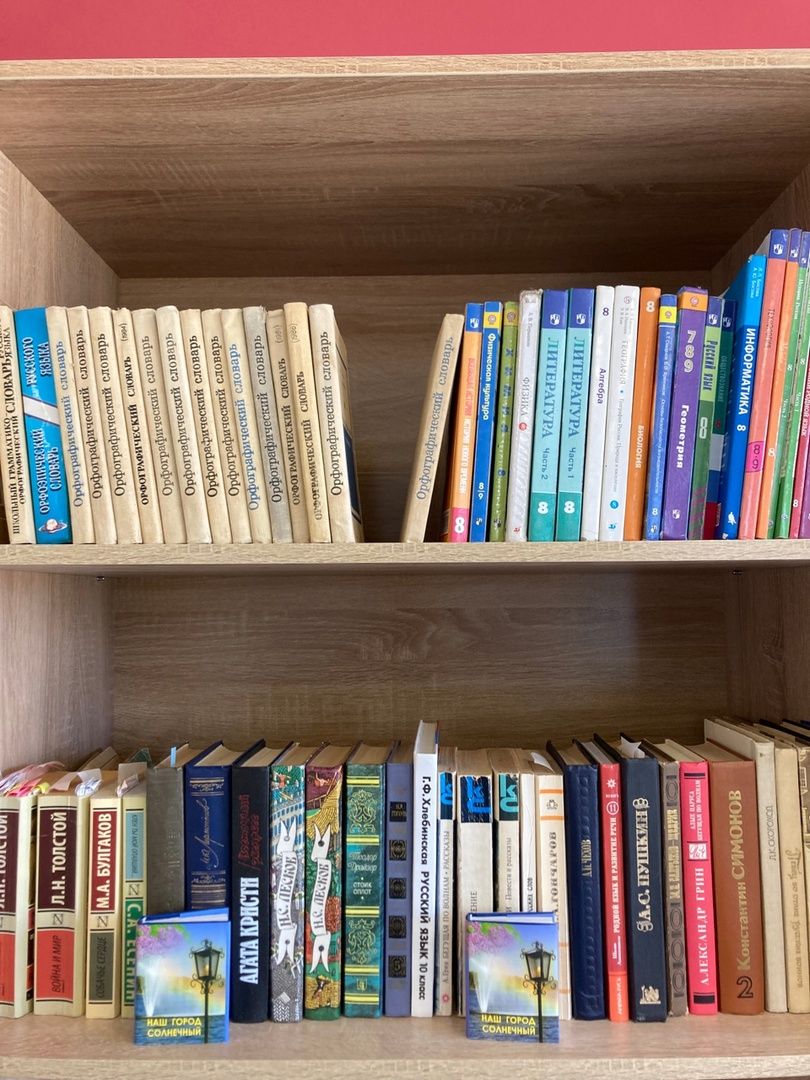 Солнечногорск, Ложки, школа, образование, литература