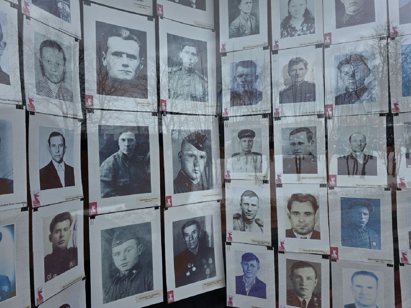 можайск, можайский муниципальный округ, подмосковье, выставка, лица победы, великая победа, день победы, фотовыставка, 80-летие победы, великая отечественная война, спецоперация, сво, солдаты,