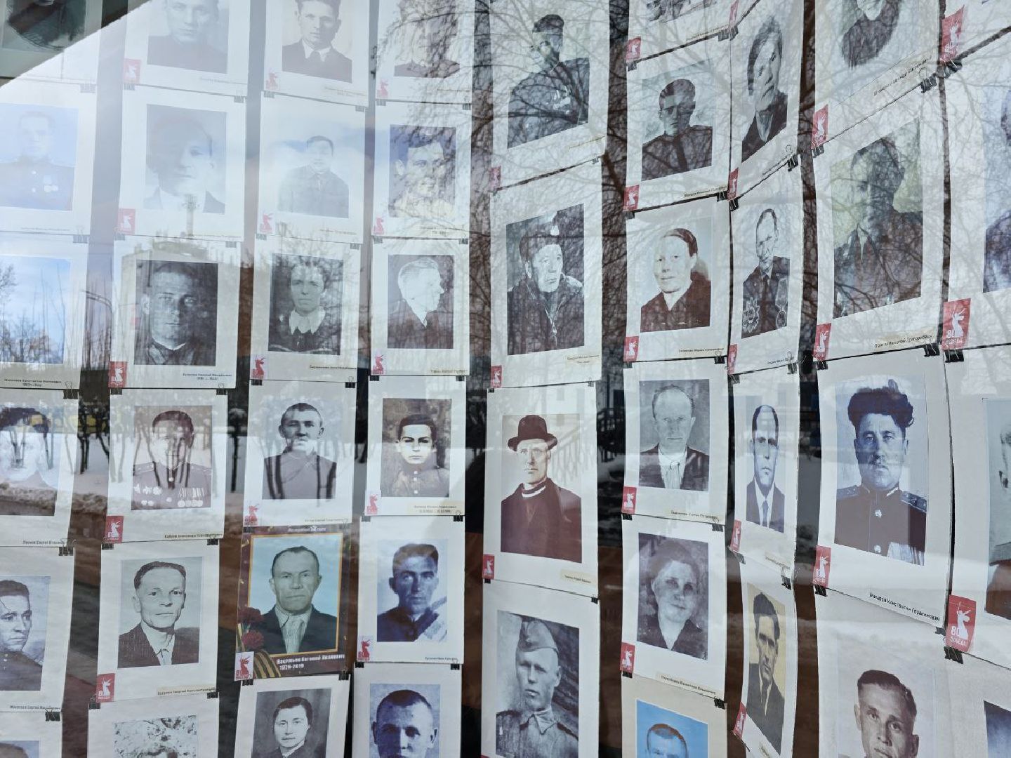 можайск, можайский муниципальный округ, подмосковье, выставка, лица победы, великая победа, день победы, фотовыставка, 80-летие победы, великая отечественная война, спецоперация, сво, солдаты,