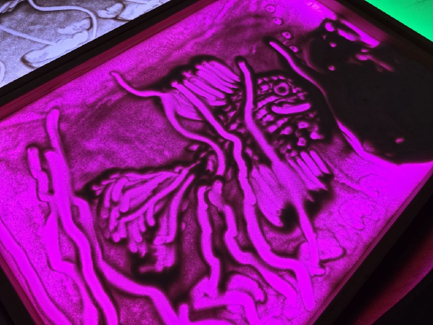 можайск, можайский муниципальный округ, подмосковье, комплексный центр можайский, песочная терапия, современные методы терапии, интерактивная песочница, Рисование песком на световых столах,