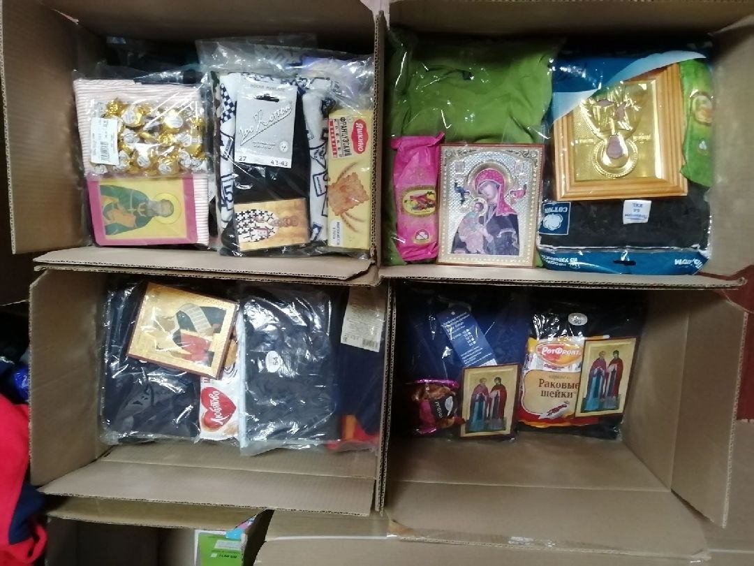 Чехов, волонтеры