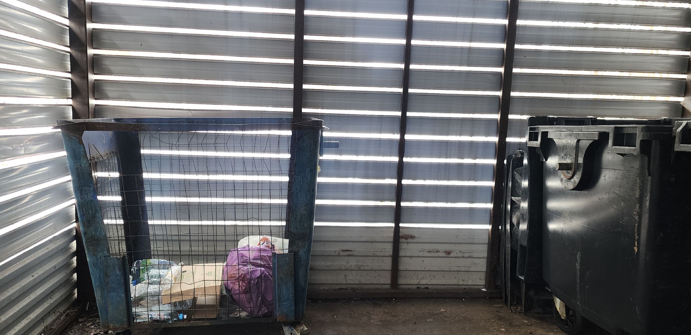 Звенигород, Благоустройство, ЖКХ, Вывоз мусора, Раздельный сбор мусора, контейнерные площадки,