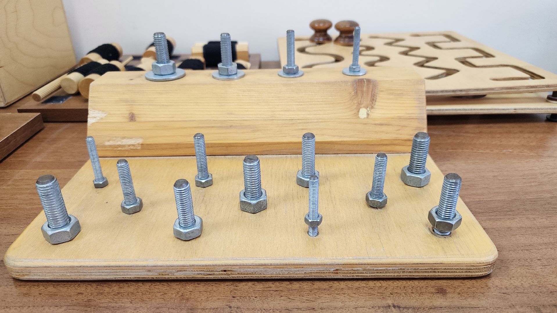 день открытых дверей, центр социальной реабилитации, реабилитация, Ногинск, Богородский городской округ,