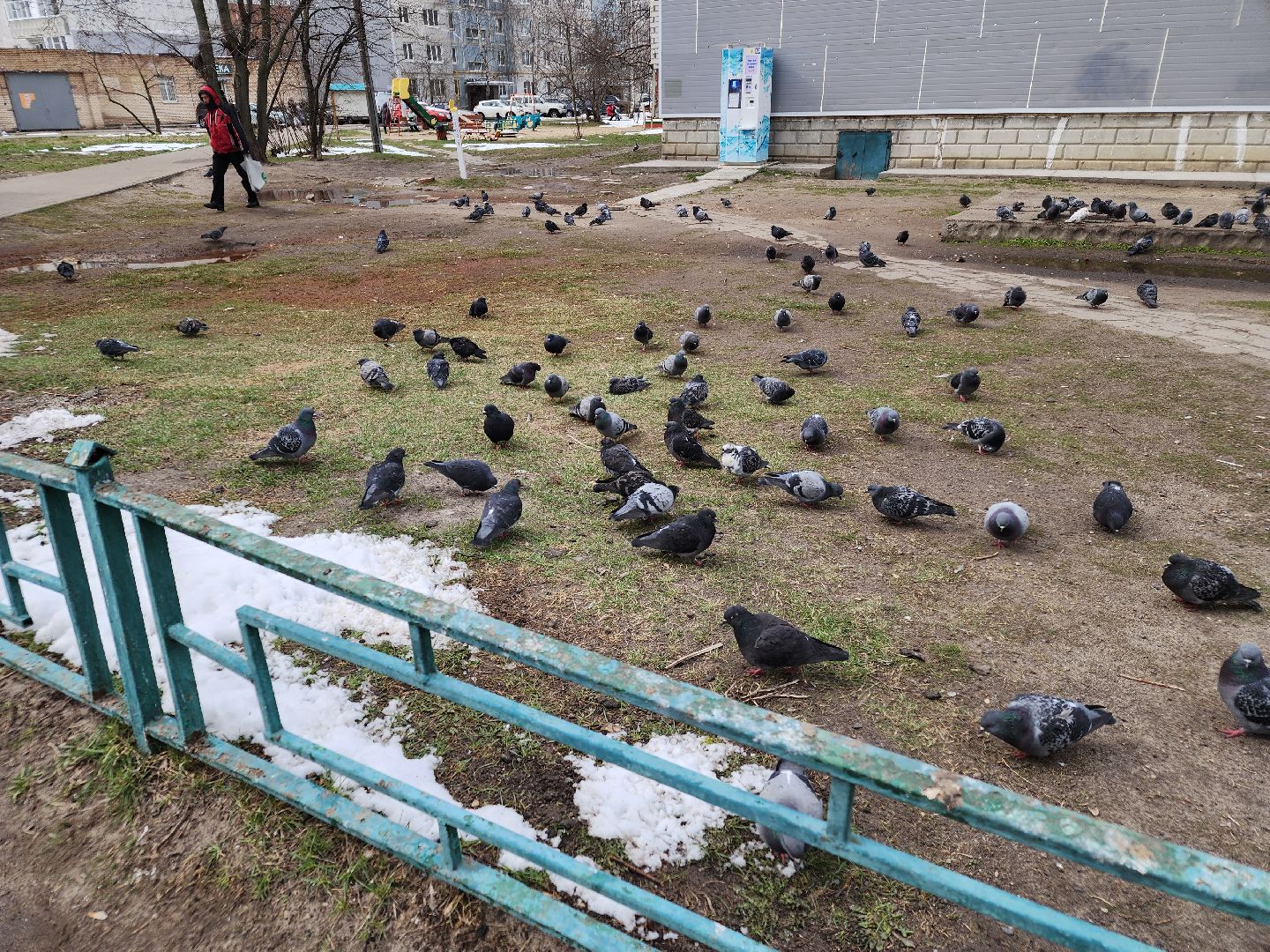 выездная администрация, орехово-зуево, благоустройство,