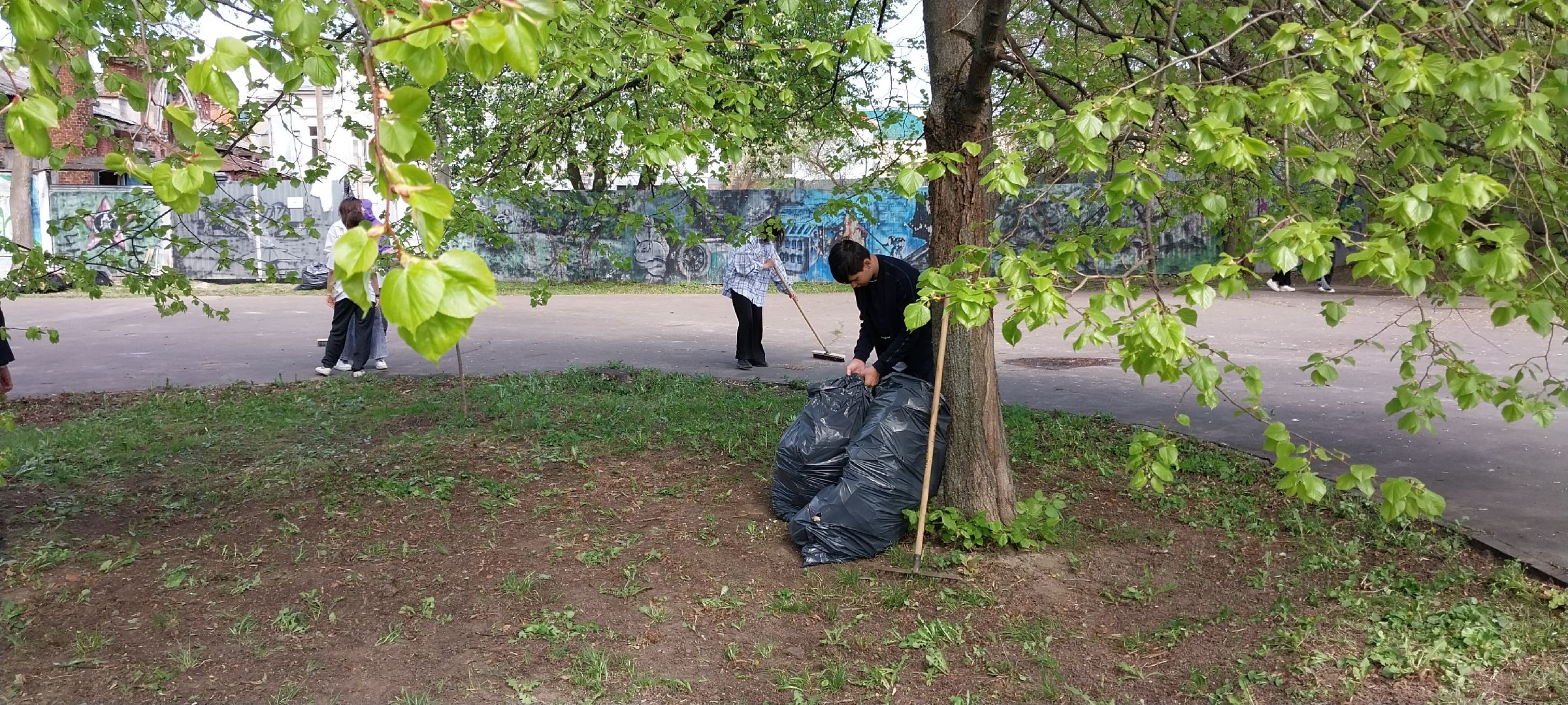 Коломна, уборка, парк