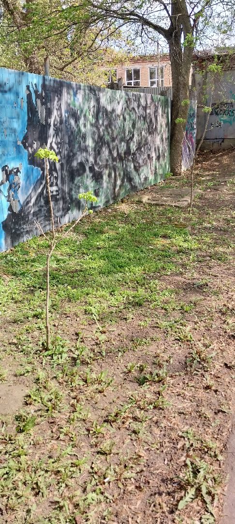 Коломна, уборка, парк