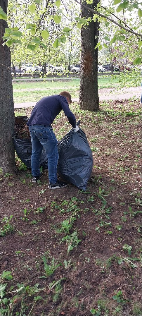 Коломна, уборка, парк