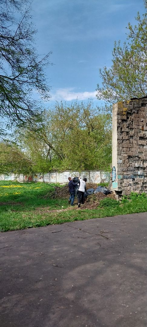 Коломна, уборка, парк