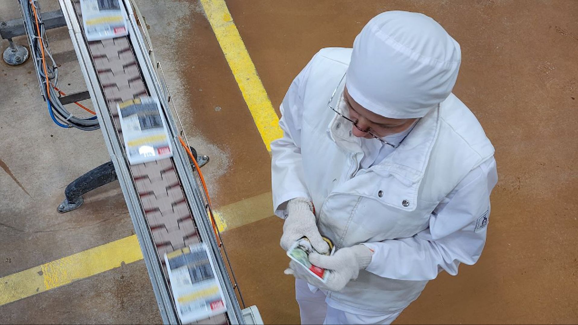 Дмитров, Индустриальный парк Орудьево, Петкорм, Мининвест,