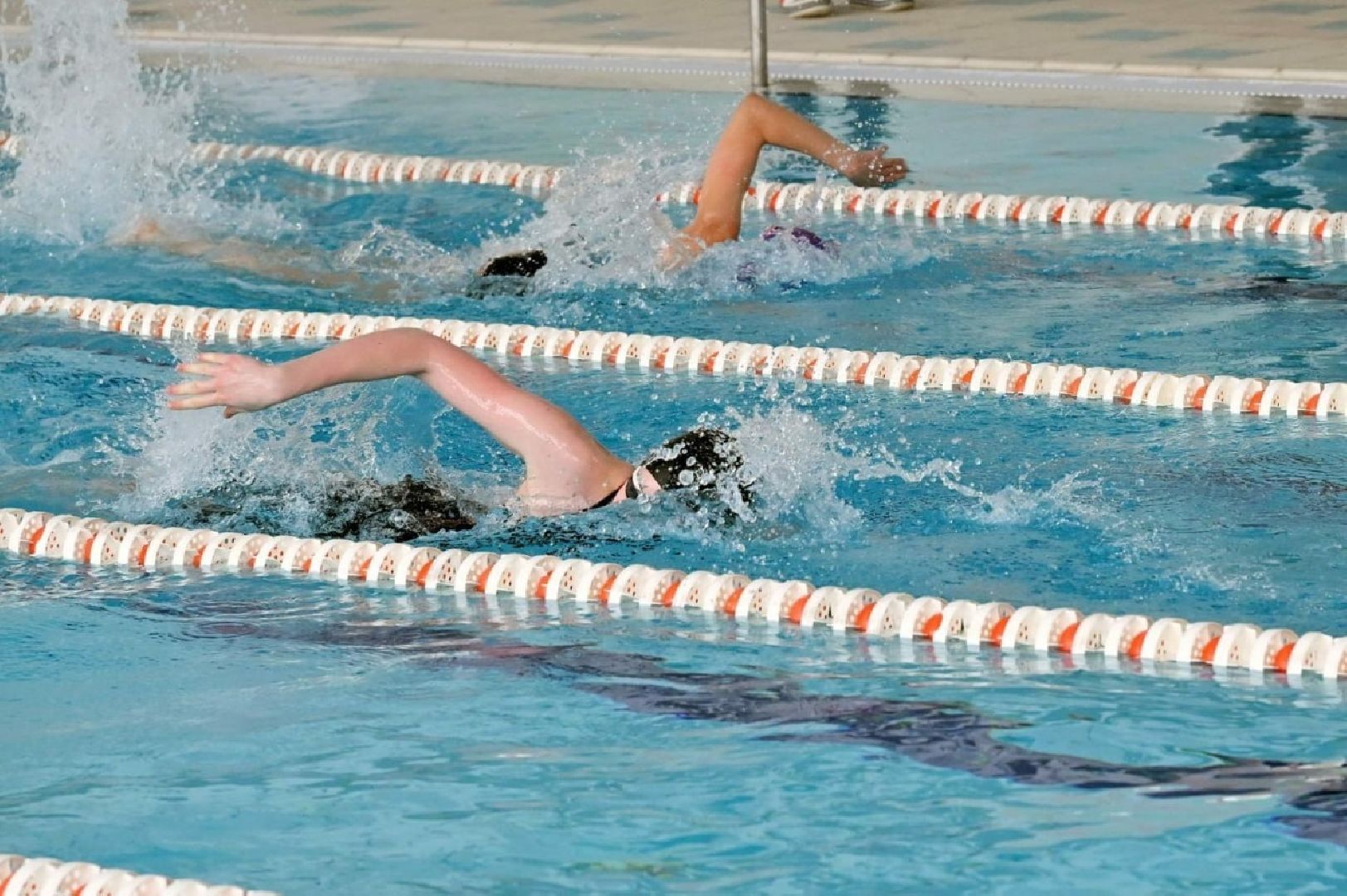 плавание власиха, школа перспектива, власиха перспектива, открытое первенство плавание,