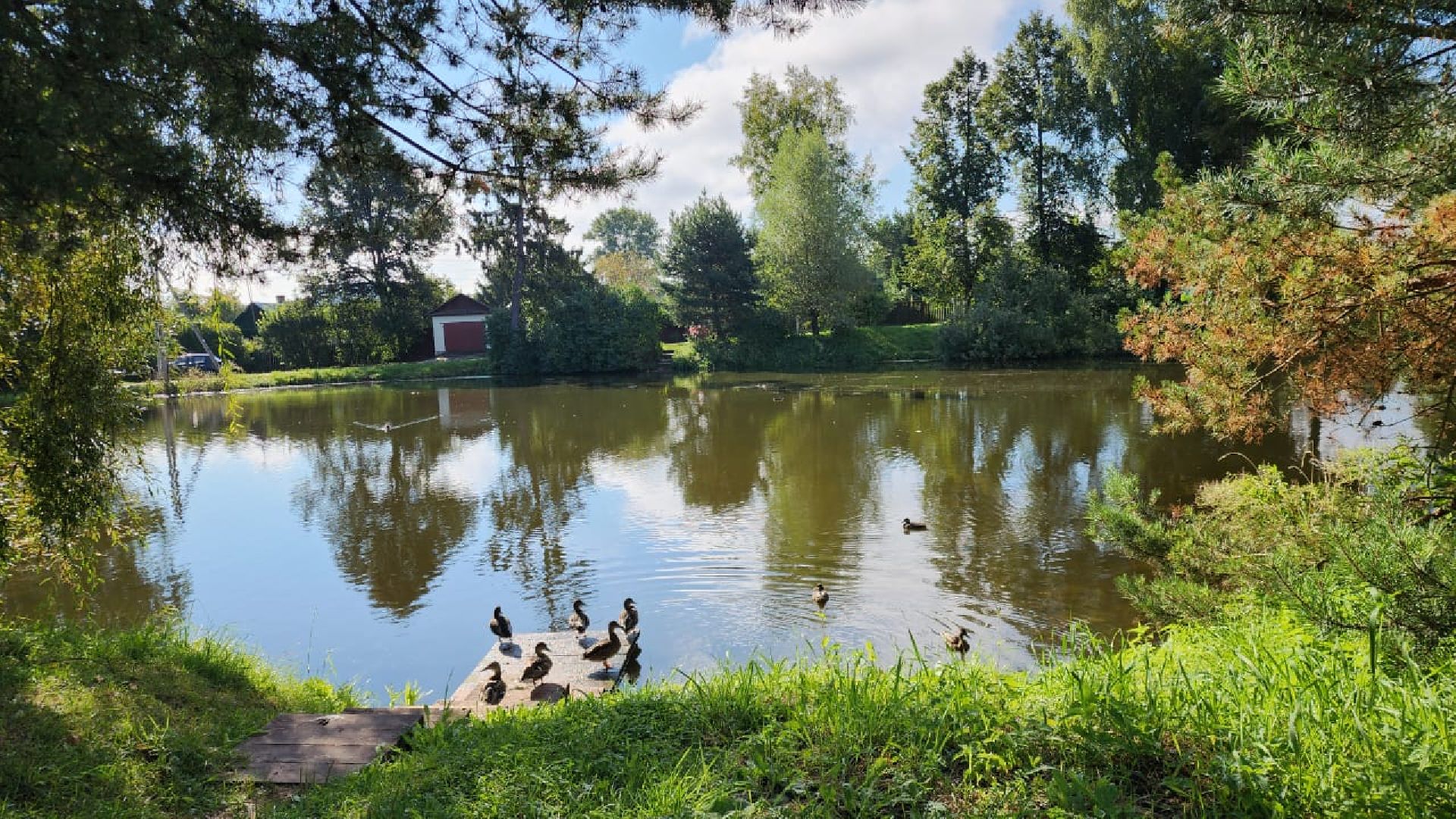 Звенигород кинематографический, Культура, кино, Молодежная инициатива,