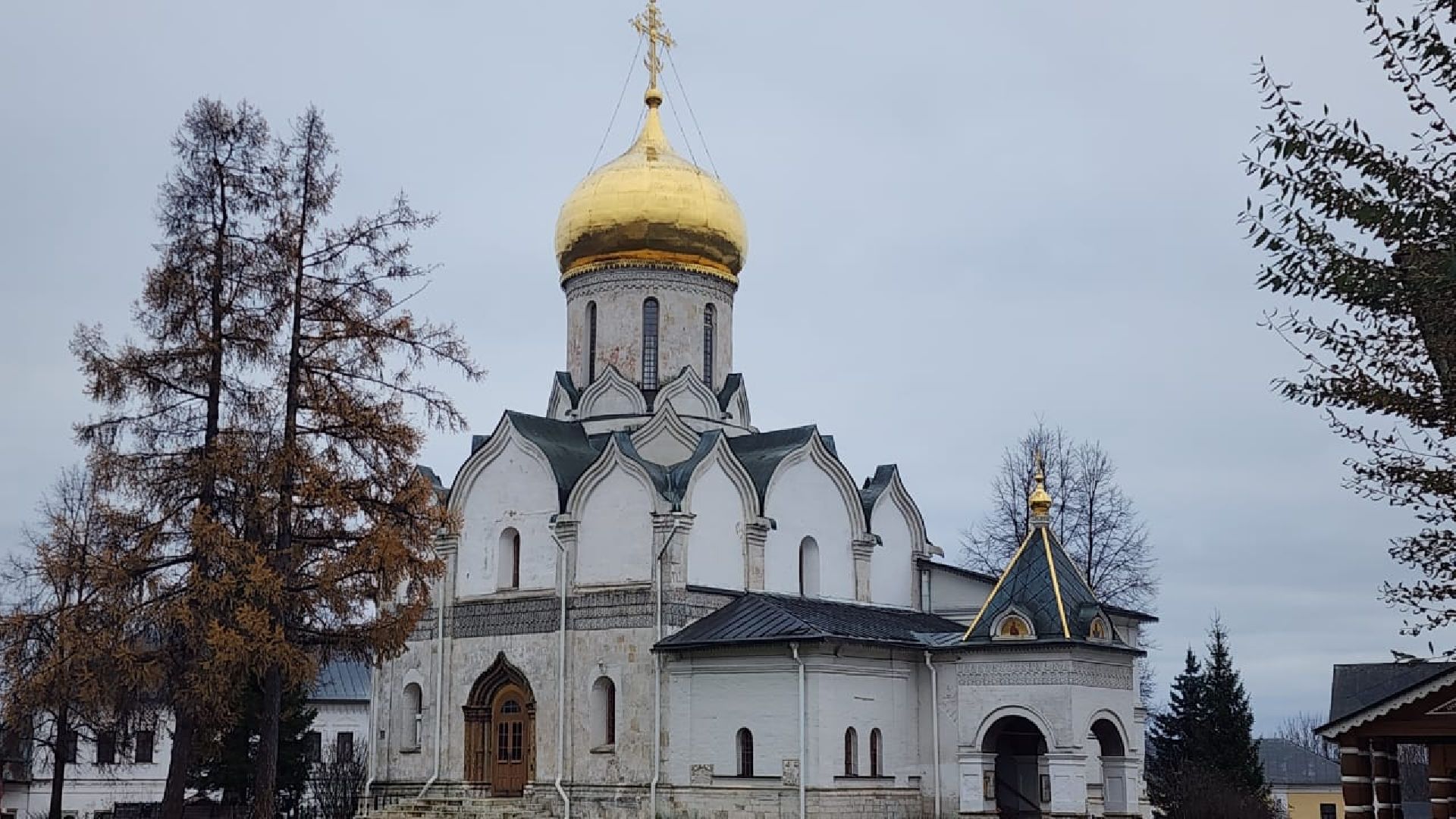 Звенигород кинематографический, Культура, кино, Молодежная инициатива,