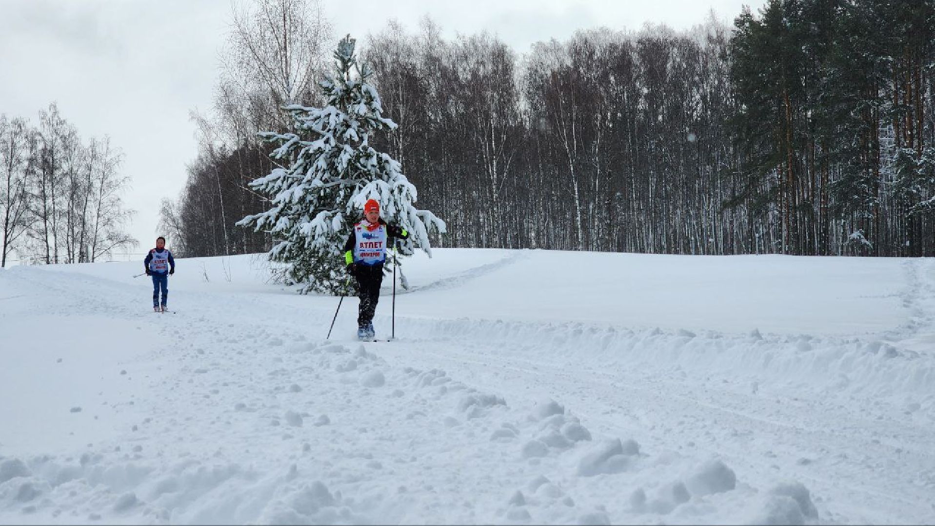 Дмитров, ЦЗВС, Лыжи,