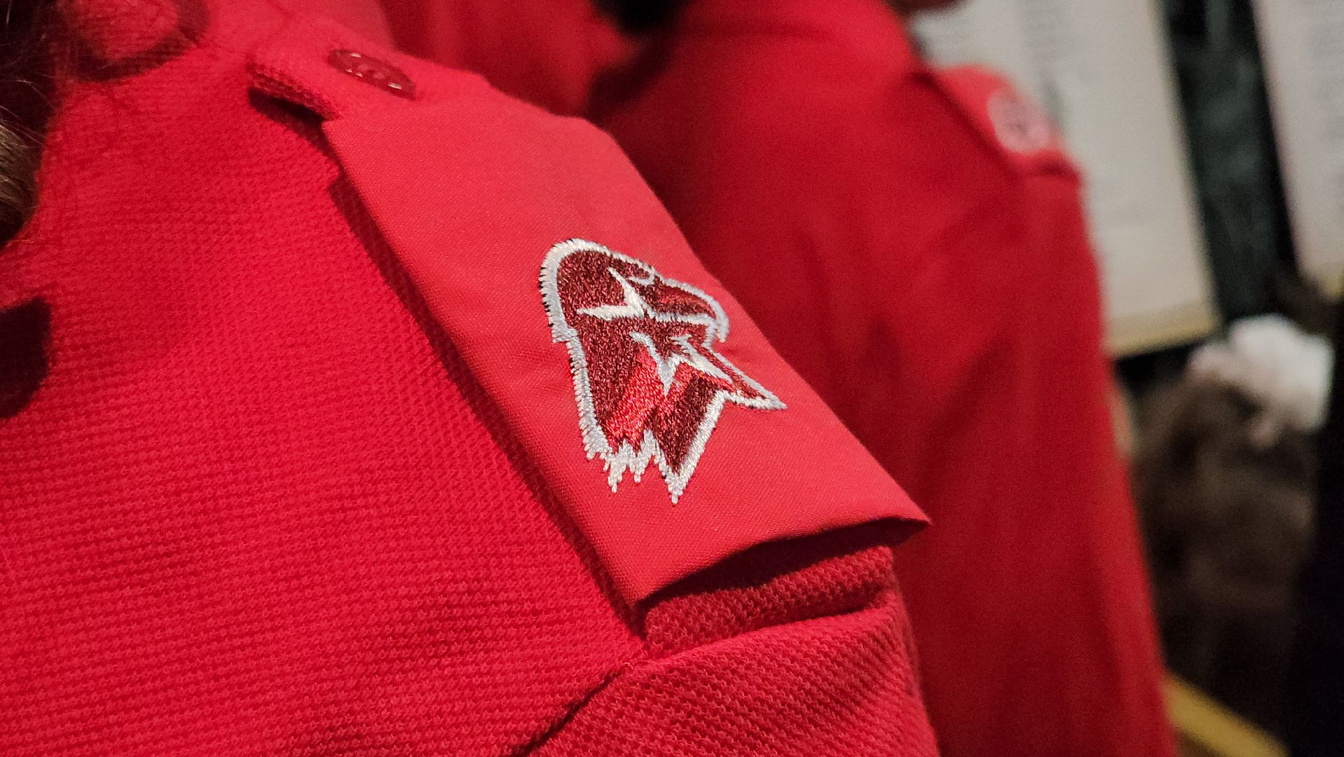 красногорск, день памяти, день победы,