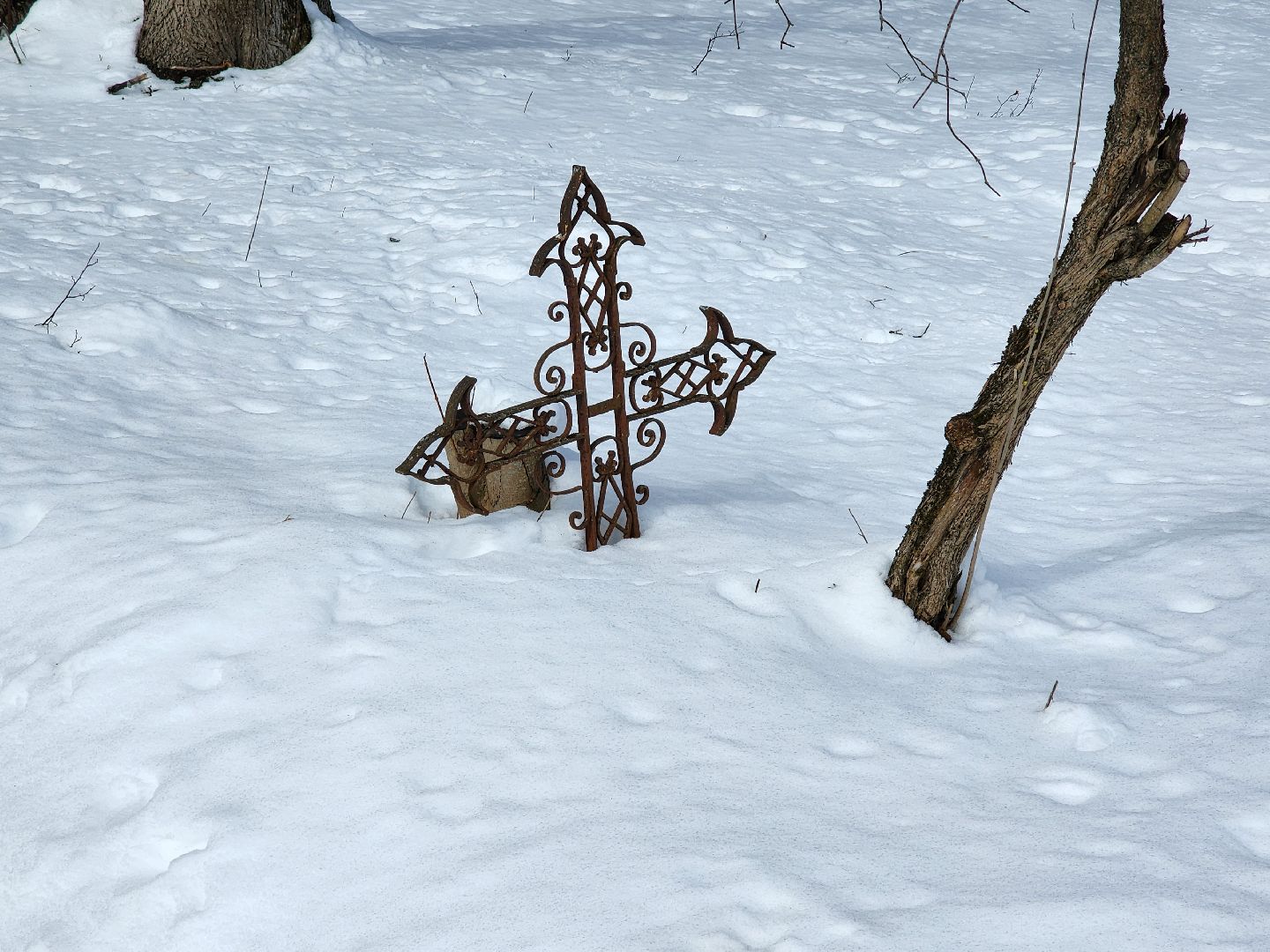 сергиев посад, никольское кладбище, история,