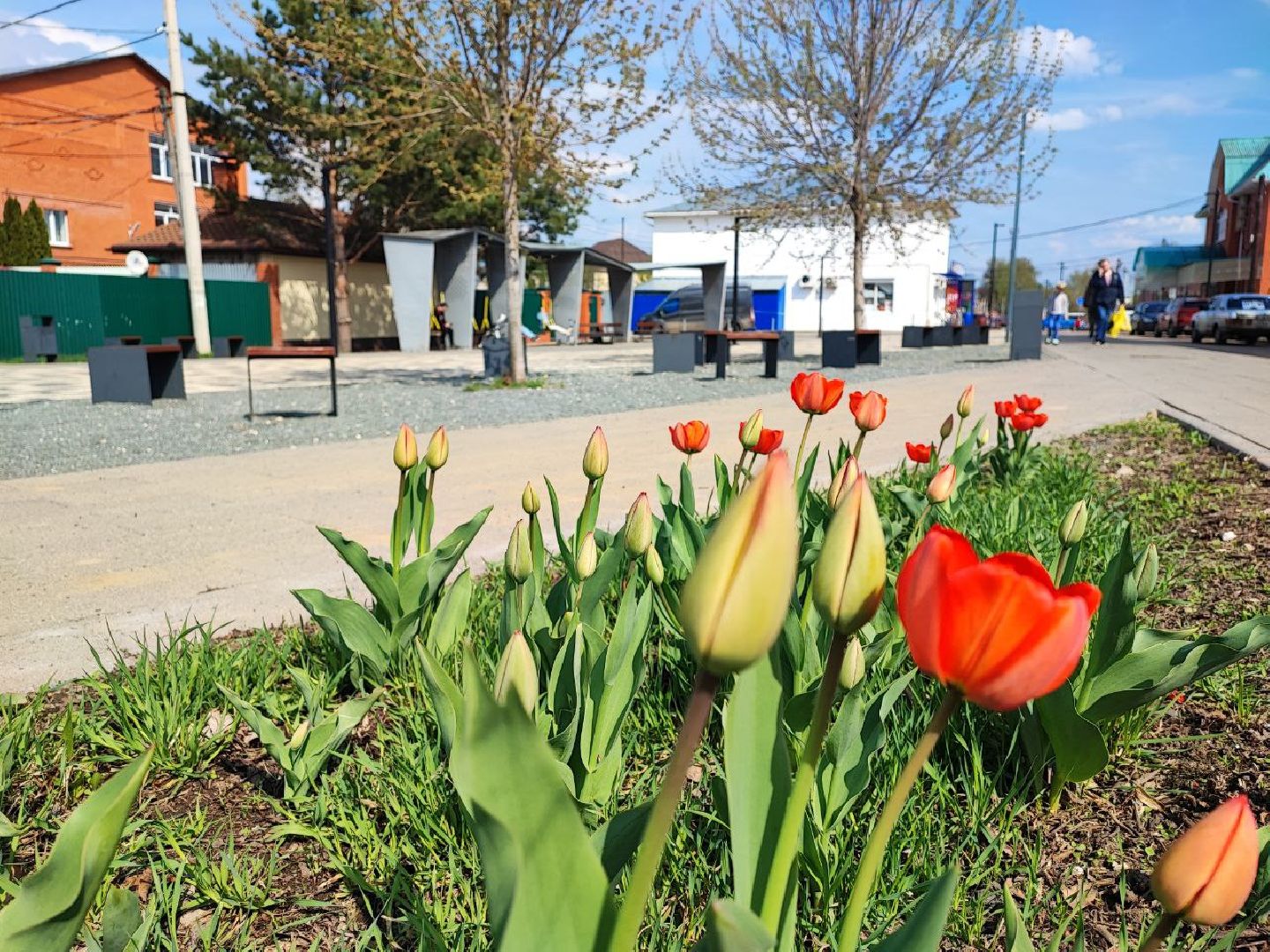 Серебряные Пруды, благоустройство