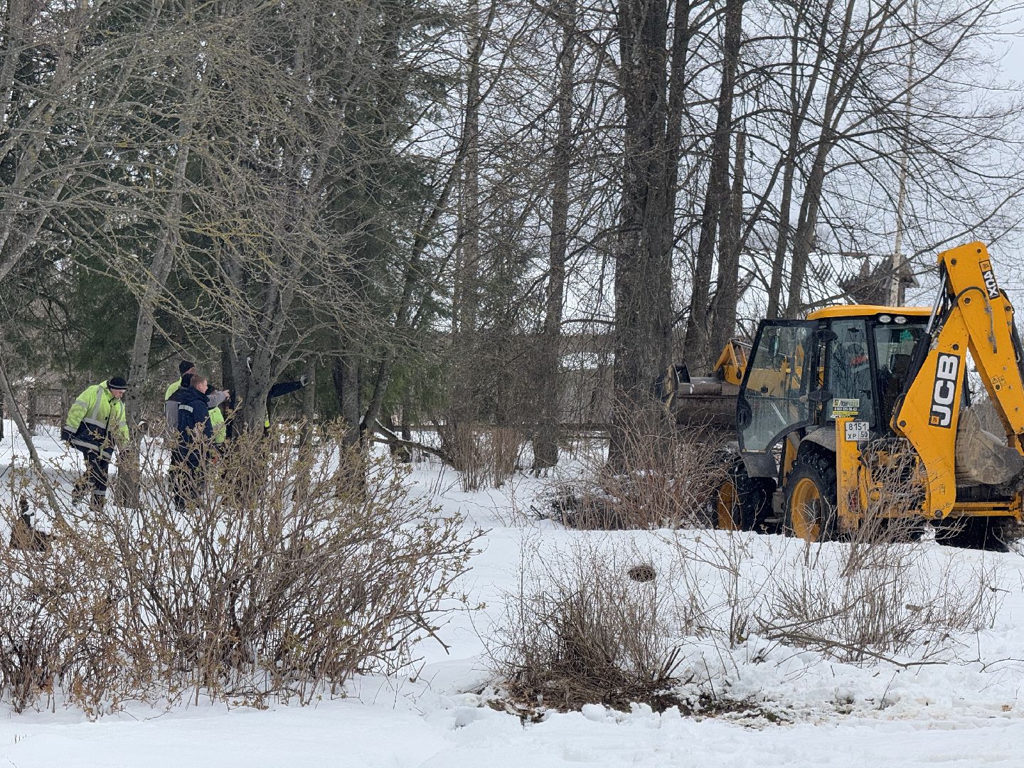 шаховская, выездная администиация, аварийное дерево,