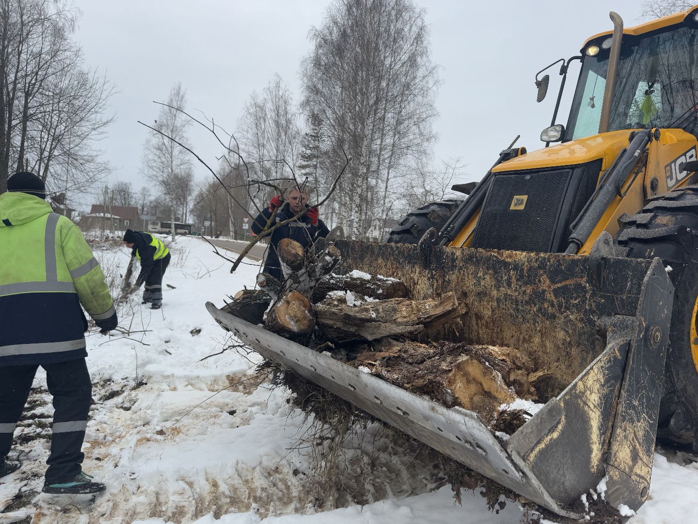 шаховская, выездная администиация, аварийное дерево,