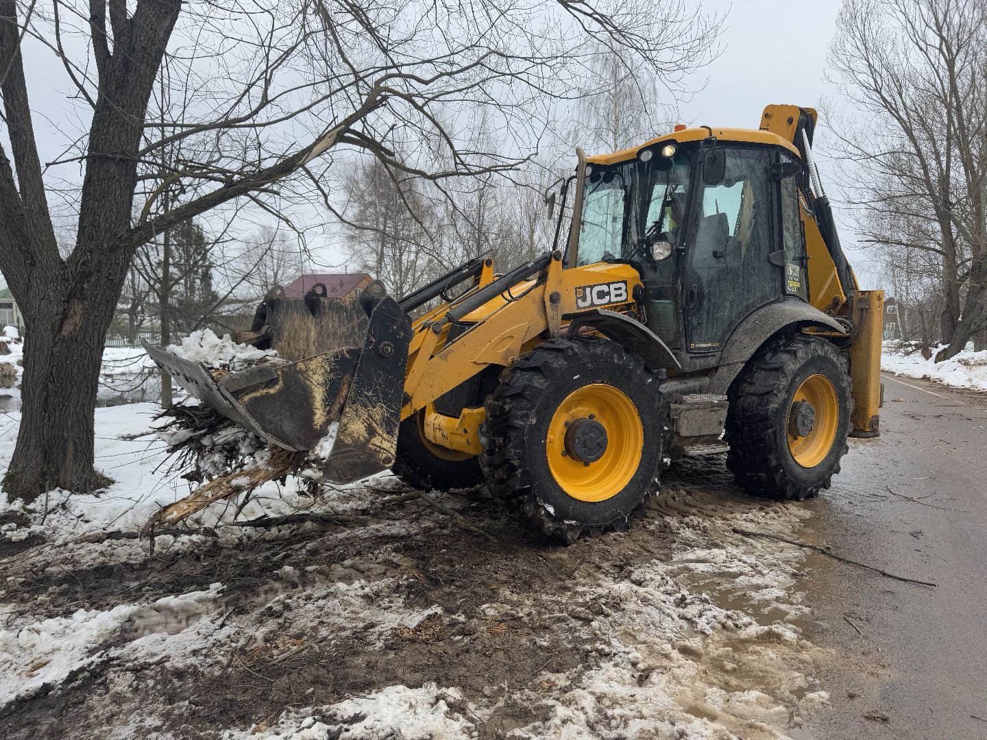 шаховская, выездная администиация, аварийное дерево,