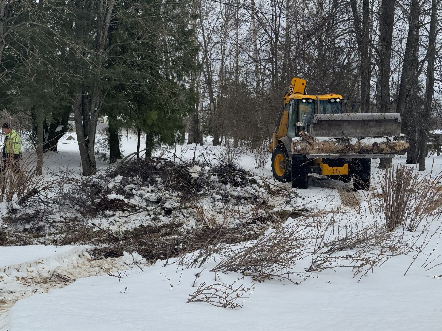 шаховская, выездная администиация, аварийное дерево,