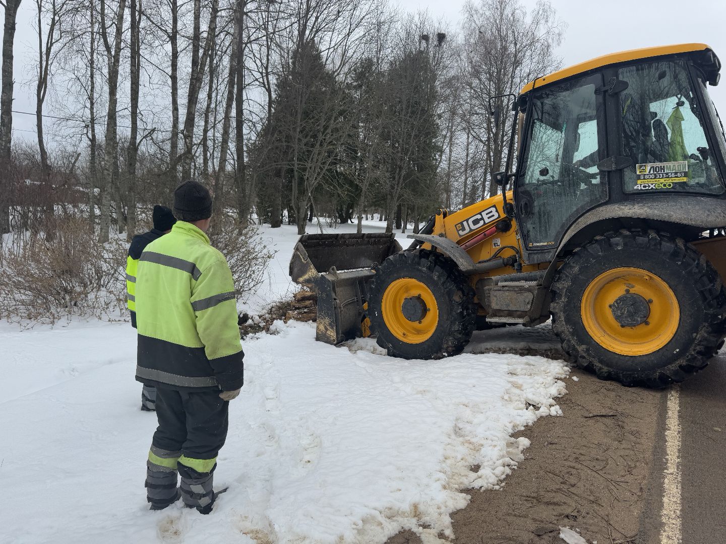 шаховская, выездная администиация, аварийное дерево,