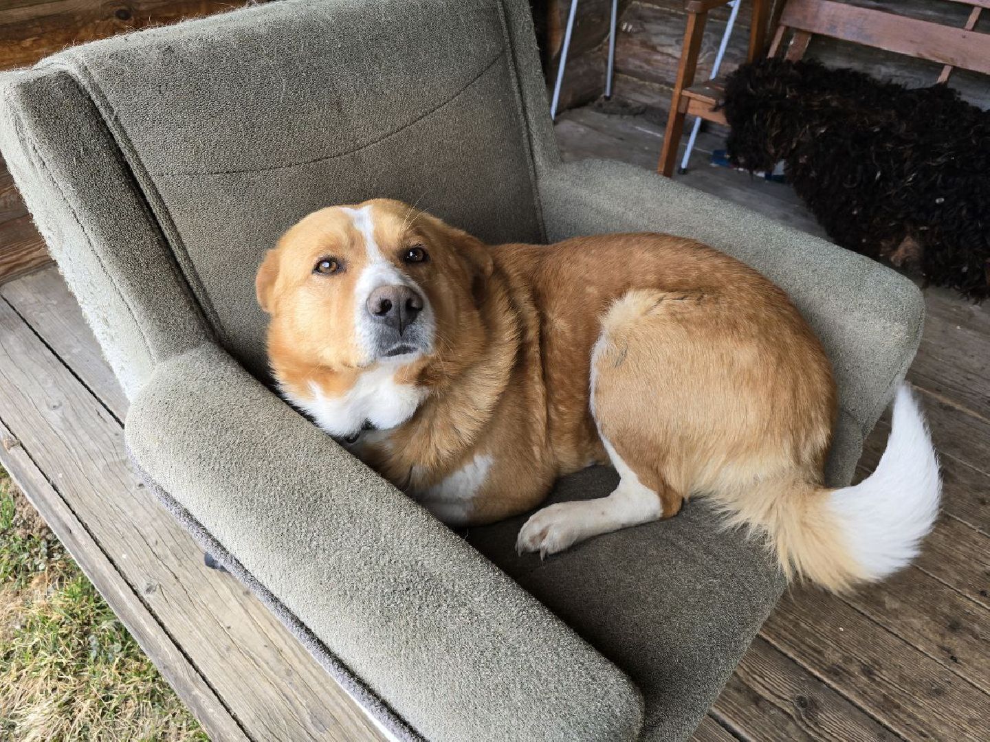 можайск, можайский муниципальный округ, подмосковье, доронино, выставка, экспозиция, история, туризм,