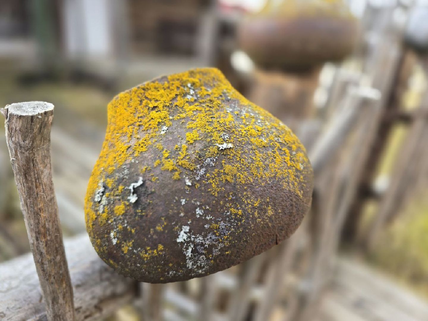 можайск, можайский муниципальный округ, подмосковье, доронино, выставка, экспозиция, история, туризм,