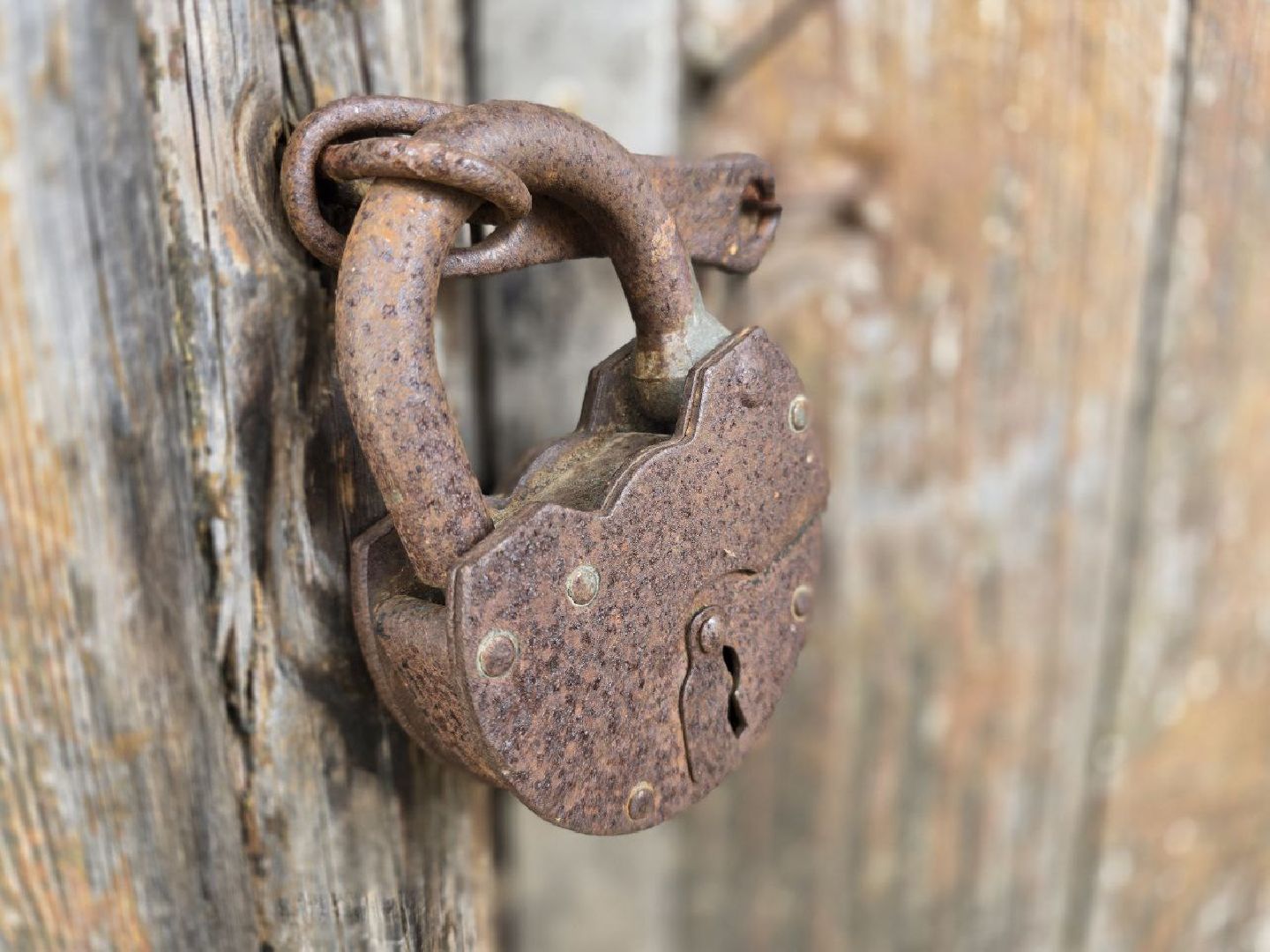 можайск, можайский муниципальный округ, подмосковье, доронино, выставка, экспозиция, история, туризм,