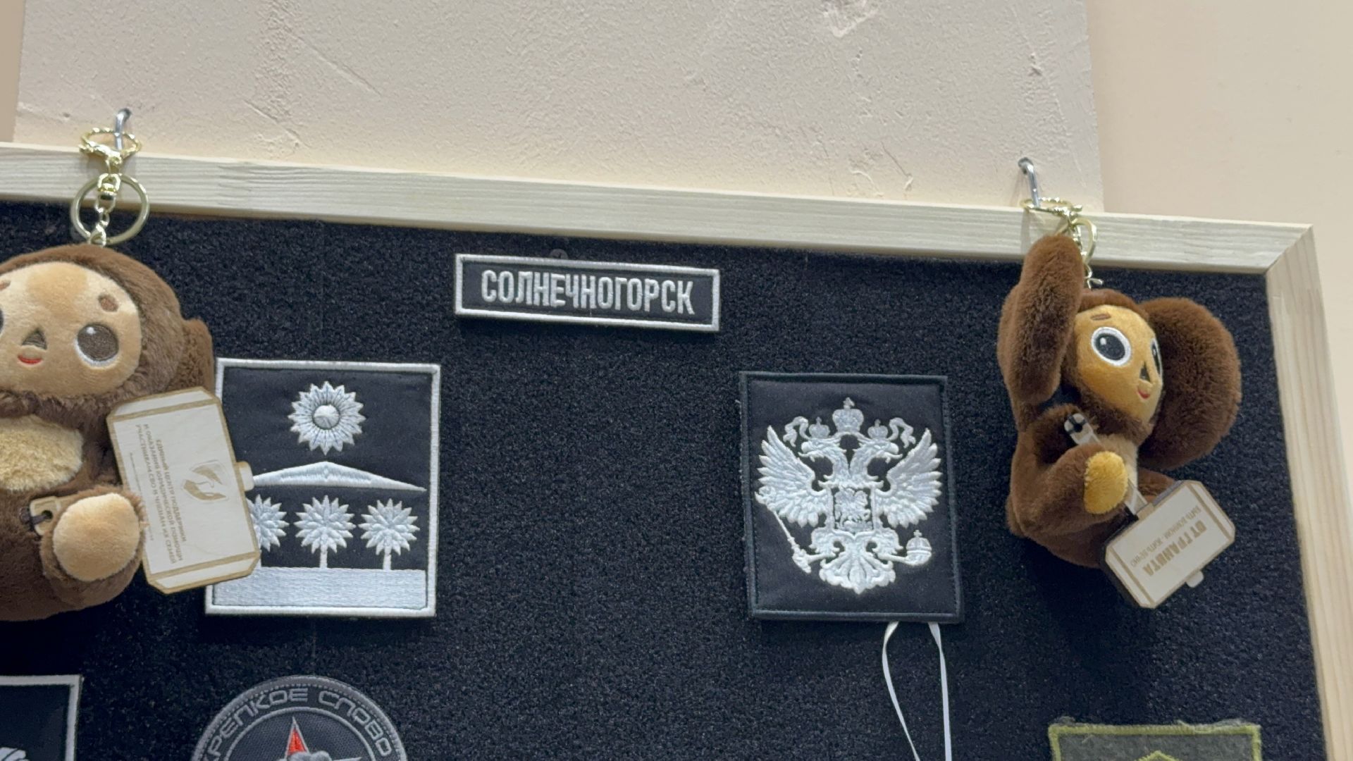 солнечногорск, психологическая помощь, бойцы, военнослужащие, жители,