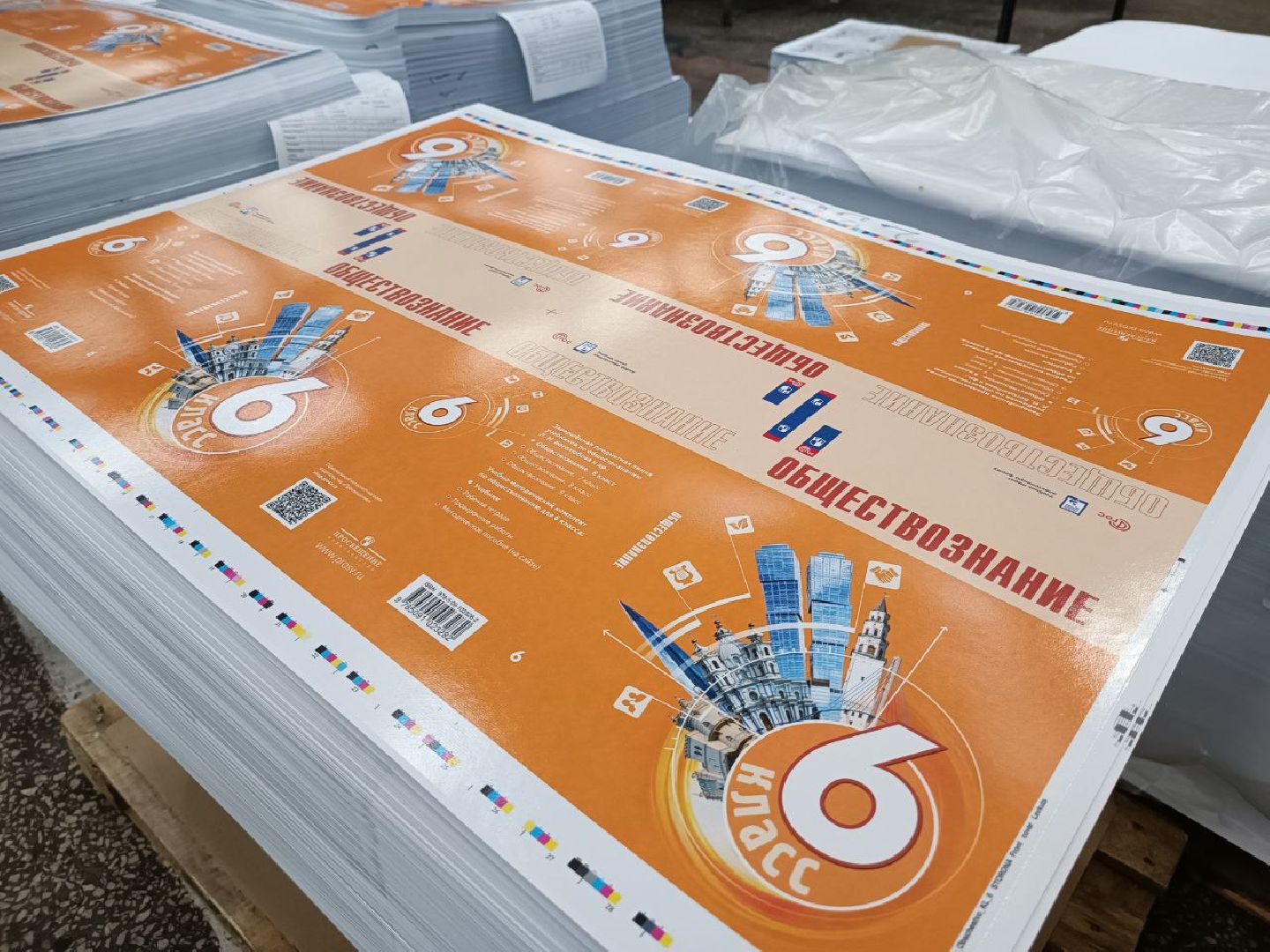 Можайск, Можайский городской округ, Подмосковье, экономика, предприятие, новое оборудование, глава округа, промышленное предприятие, модернизация