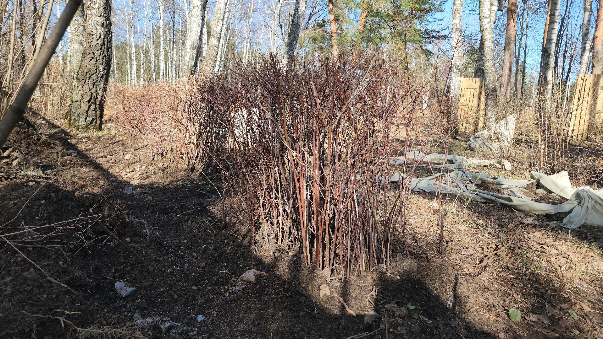 люберцы, летний парк в малаховке, благоустройство, формирование комфортной городской среды,