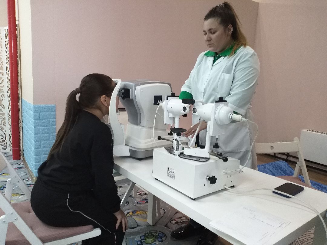 Лосино-Петровский, общество