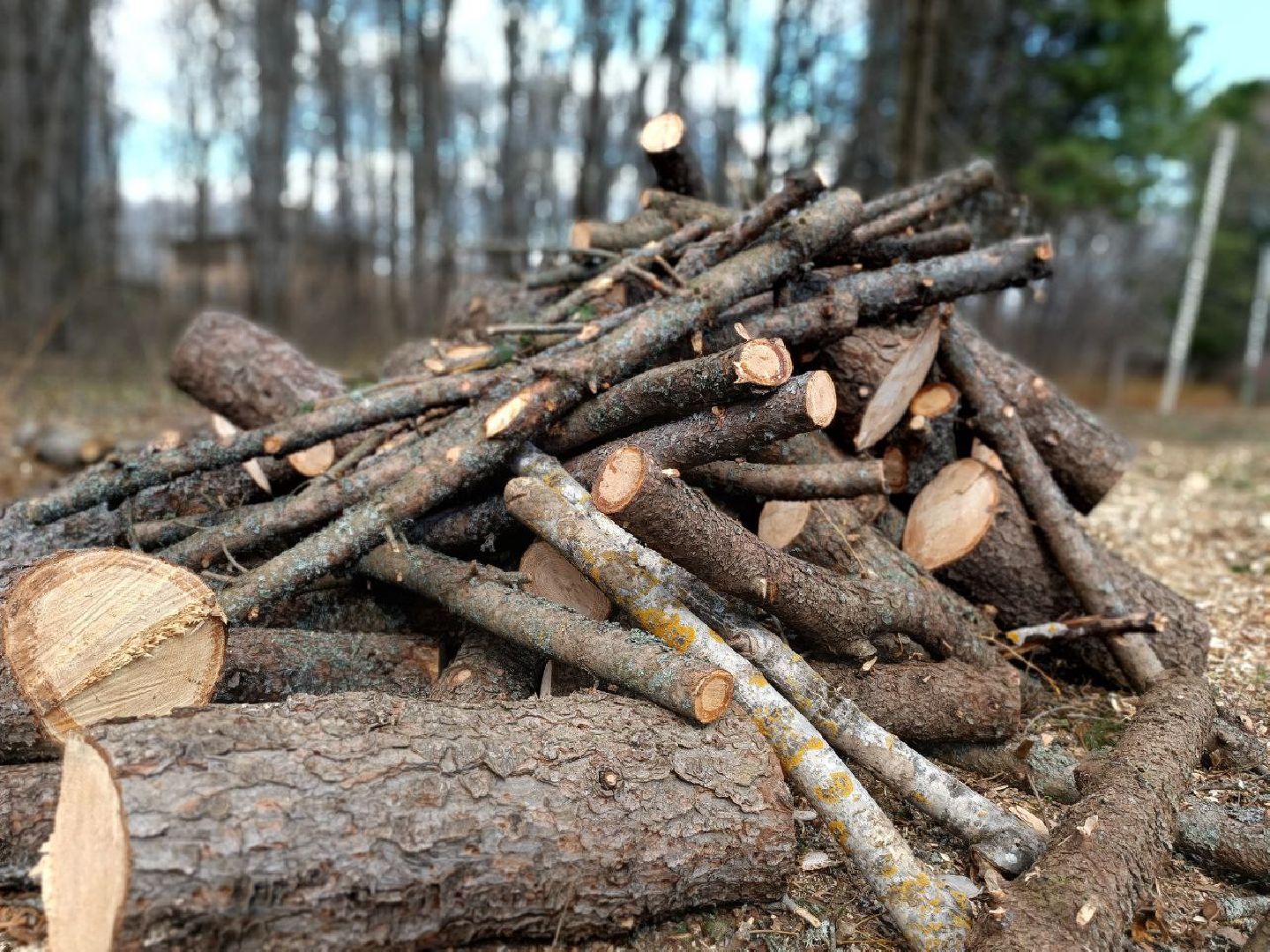 Можайск, Можайский городской округ, Подмосковье, детские площадки, губернаторская программа, дети, Добродел, благоустройство
