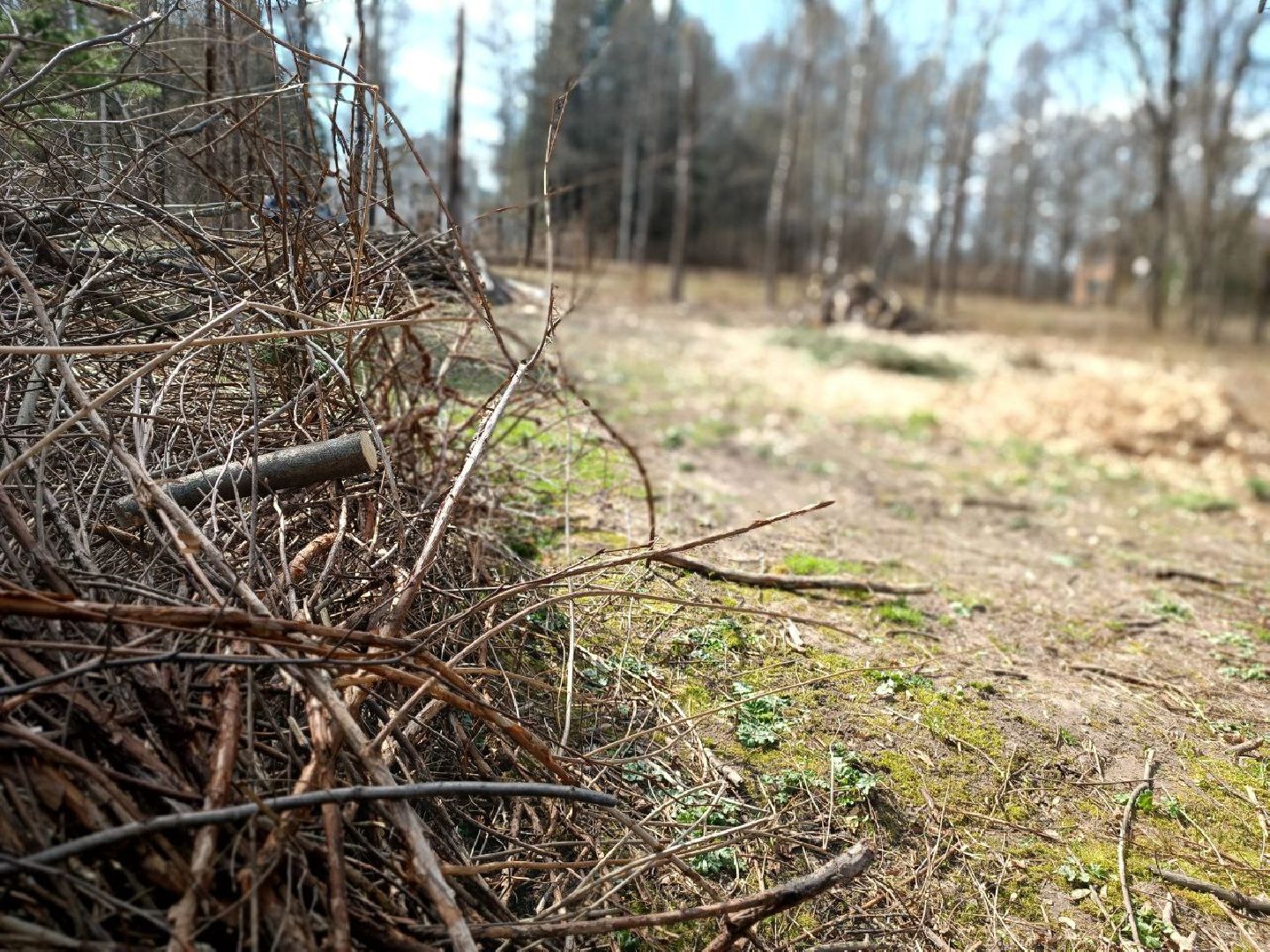 Можайск, Можайский городской округ, Подмосковье, детские площадки, губернаторская программа, дети, Добродел, благоустройство